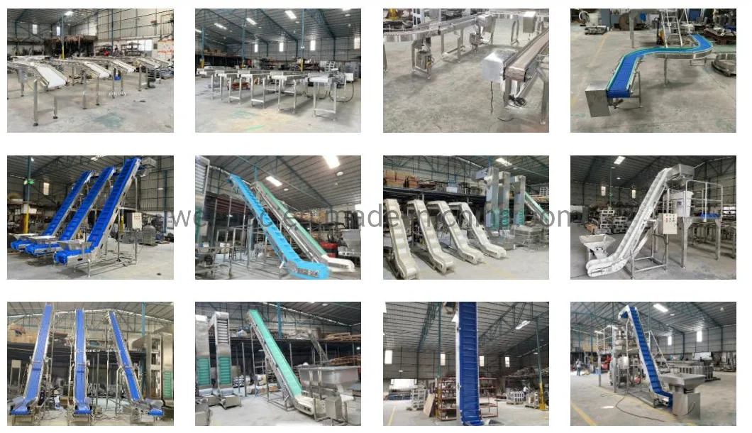 Material Handling Equipment for The Food Processing Line Food Conveyors